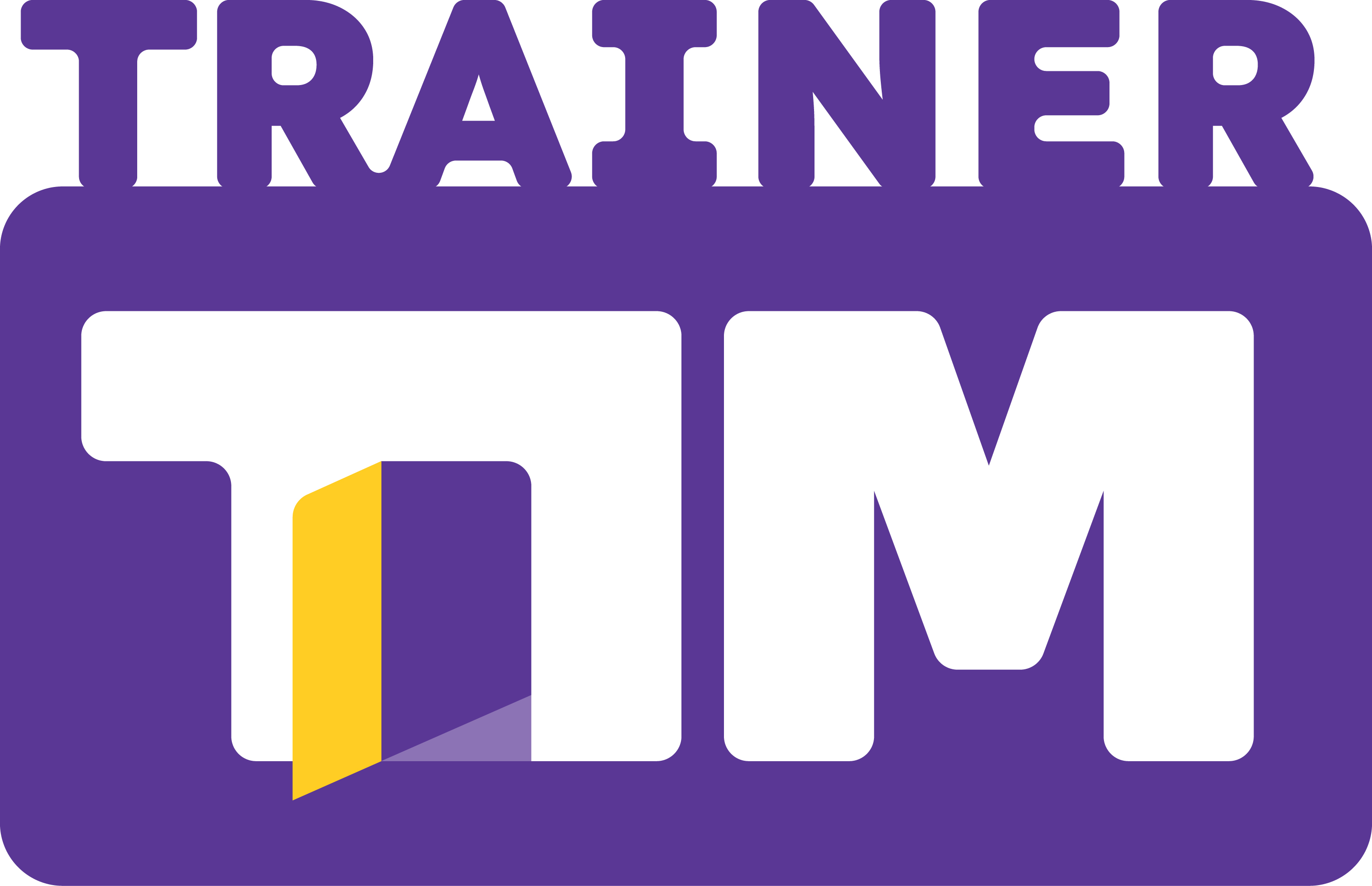 Logo Trainer Tim